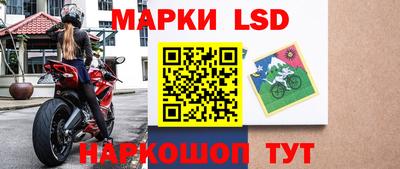 стаф Кузнецк